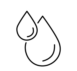 d1